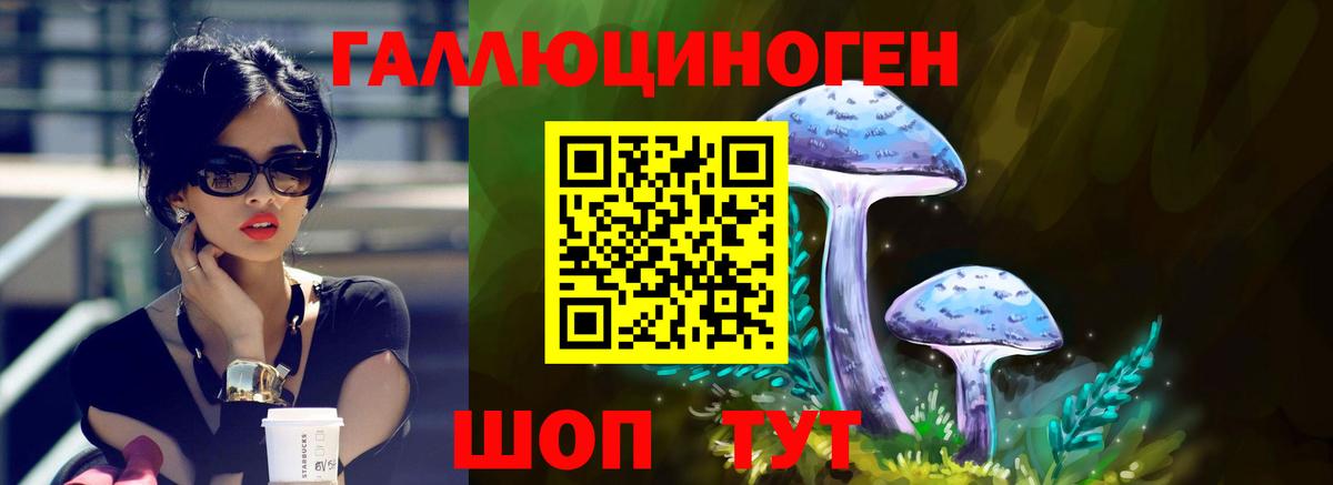 Вышний Волочёк  Псилоцибиновые грибы GOLDEN TEACHER  Вход с VPN  Псилоцибиновые грибы GOLDEN TEACHER 