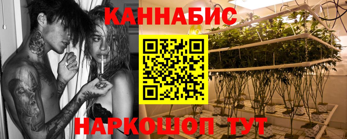 Каннабис индика Вышний Волочёк